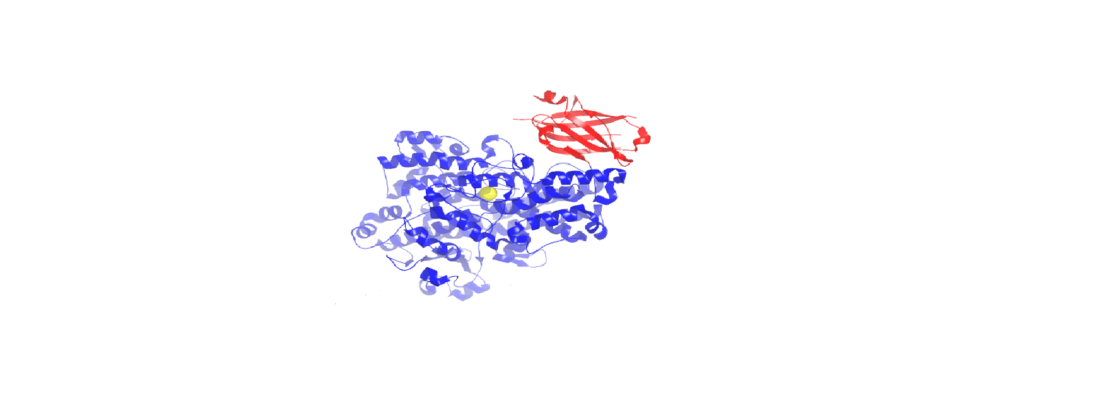 Ted Holman's Lab logo - the protein lipoxygenase is in blue and red with the iron at the active sites as a yellow circle in the middle.